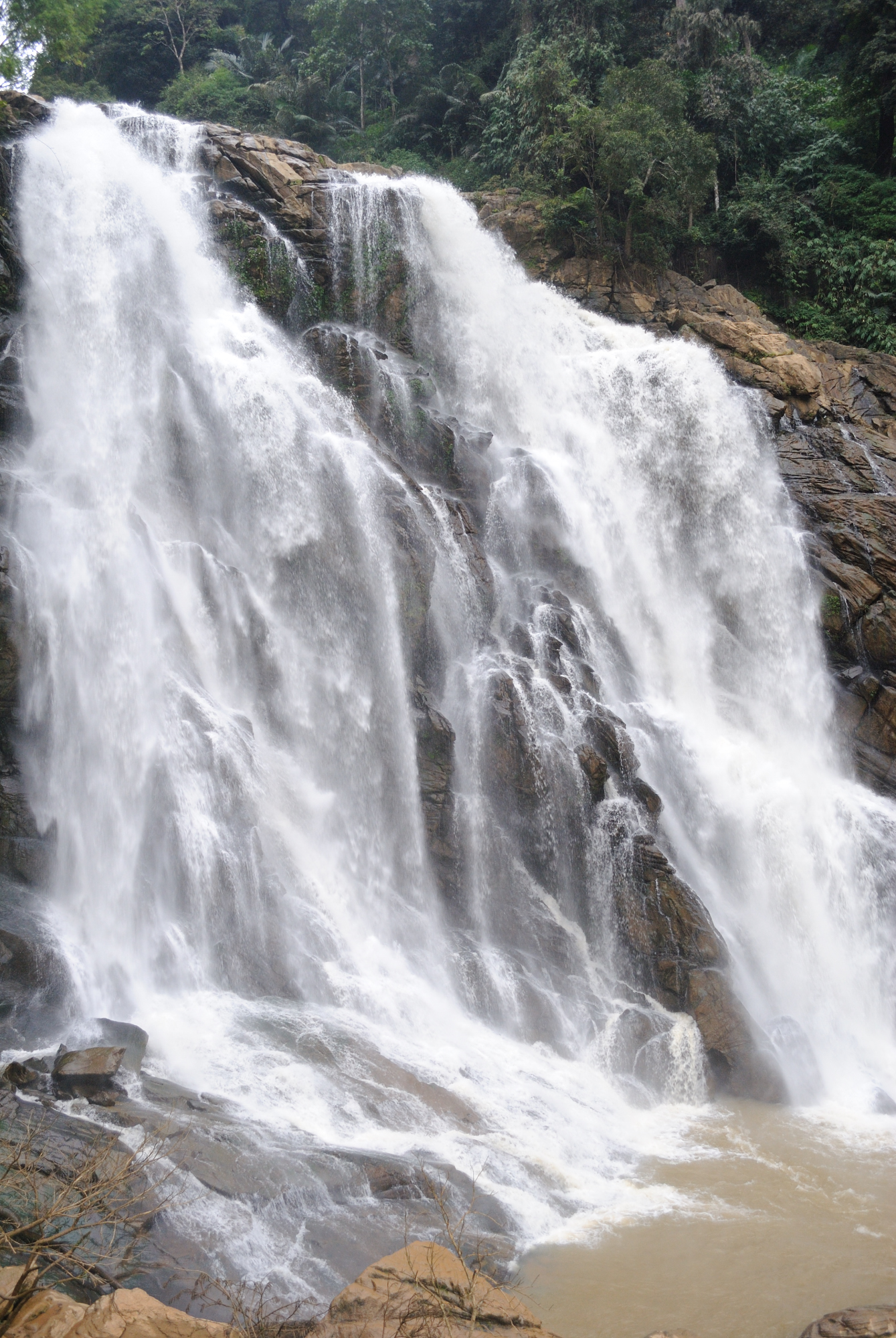 Meenmutty Waterfalls, Wayanad - forest trekking trail